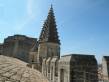  toit du Palais des papes